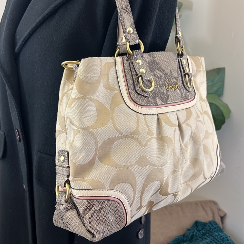Coach Beige Signature Canvas And Python Embossed … - image 2
